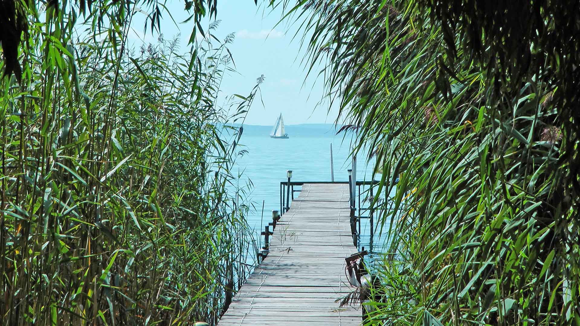 A közvetlen vízparti ingatlanból, stégen lehet kijutni a nyílt vízhez a Balaton keleti part nádasából